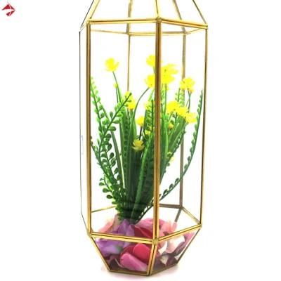 Tall Glass Display Case Gold Terrarium Stand for Sale in Styrofoam Box